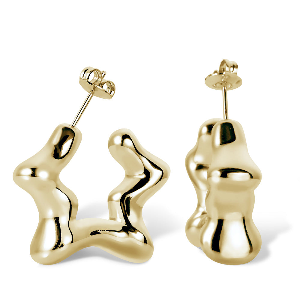 Star Earrings