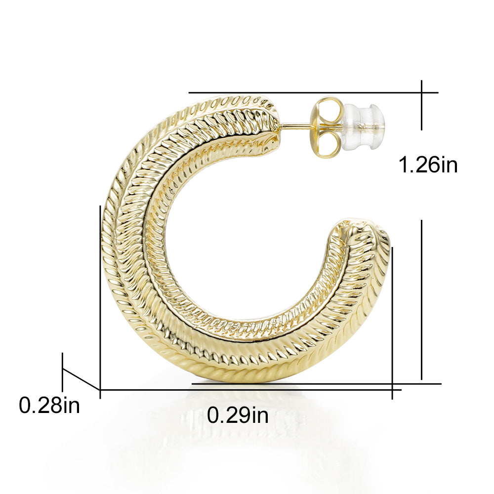 Circle Earrings
