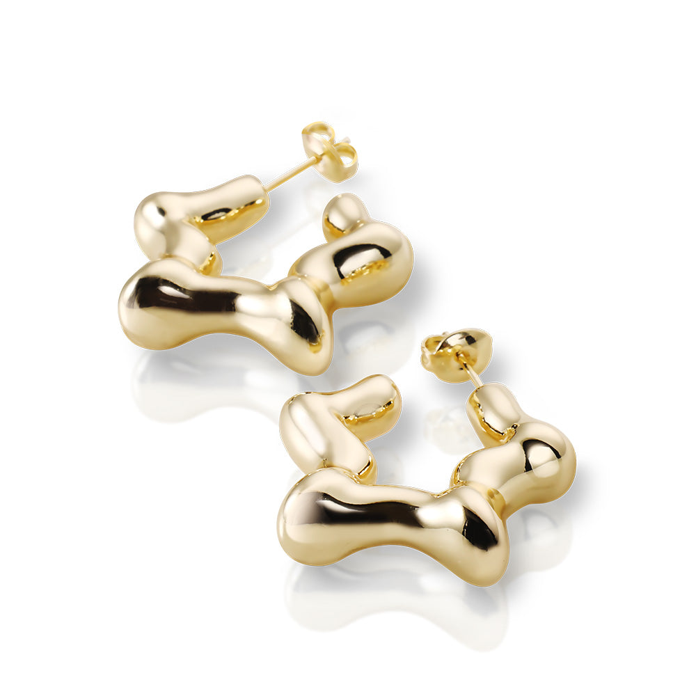 Star Earrings